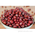 Canned Small Red Beans Small Red Beans Dry Manufactory